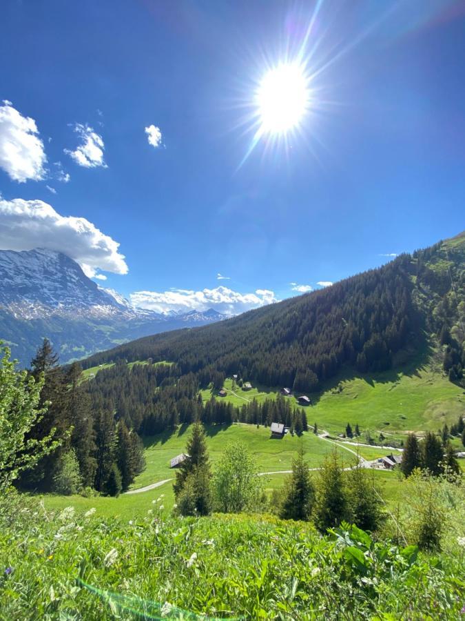 Chalet Herrschaft Grindelwald Ngoại thất bức ảnh
