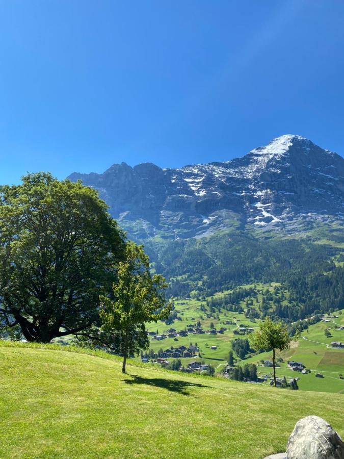 Chalet Herrschaft Grindelwald Ngoại thất bức ảnh