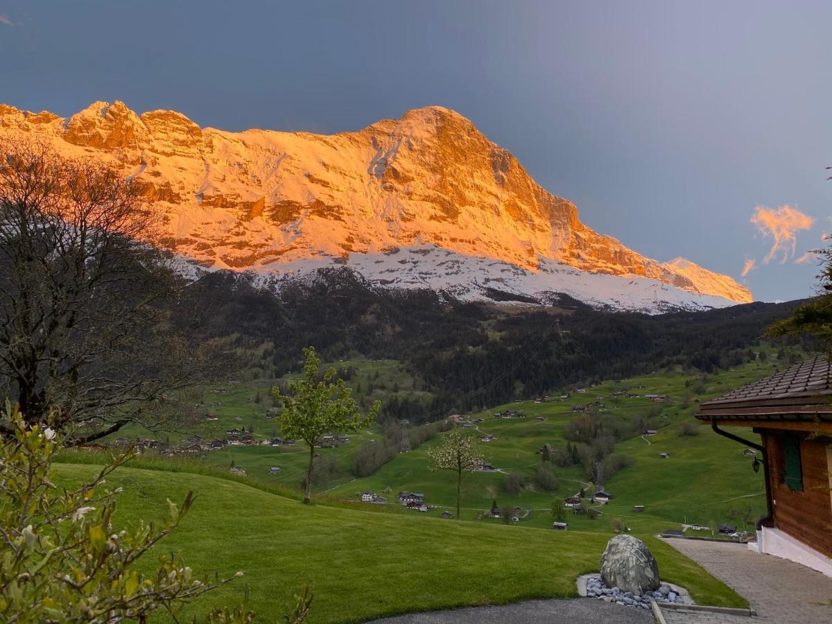 Chalet Herrschaft Grindelwald Ngoại thất bức ảnh