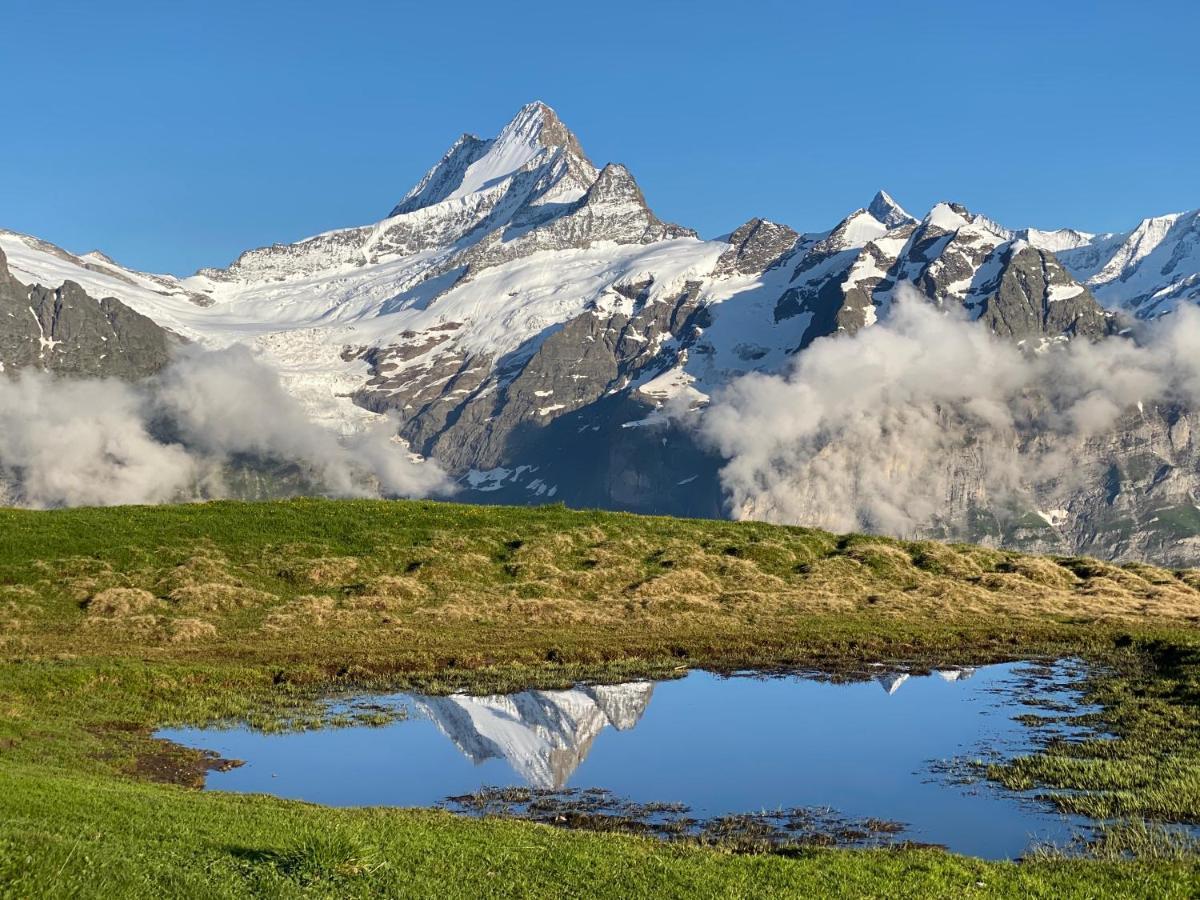 Chalet Herrschaft Grindelwald Ngoại thất bức ảnh