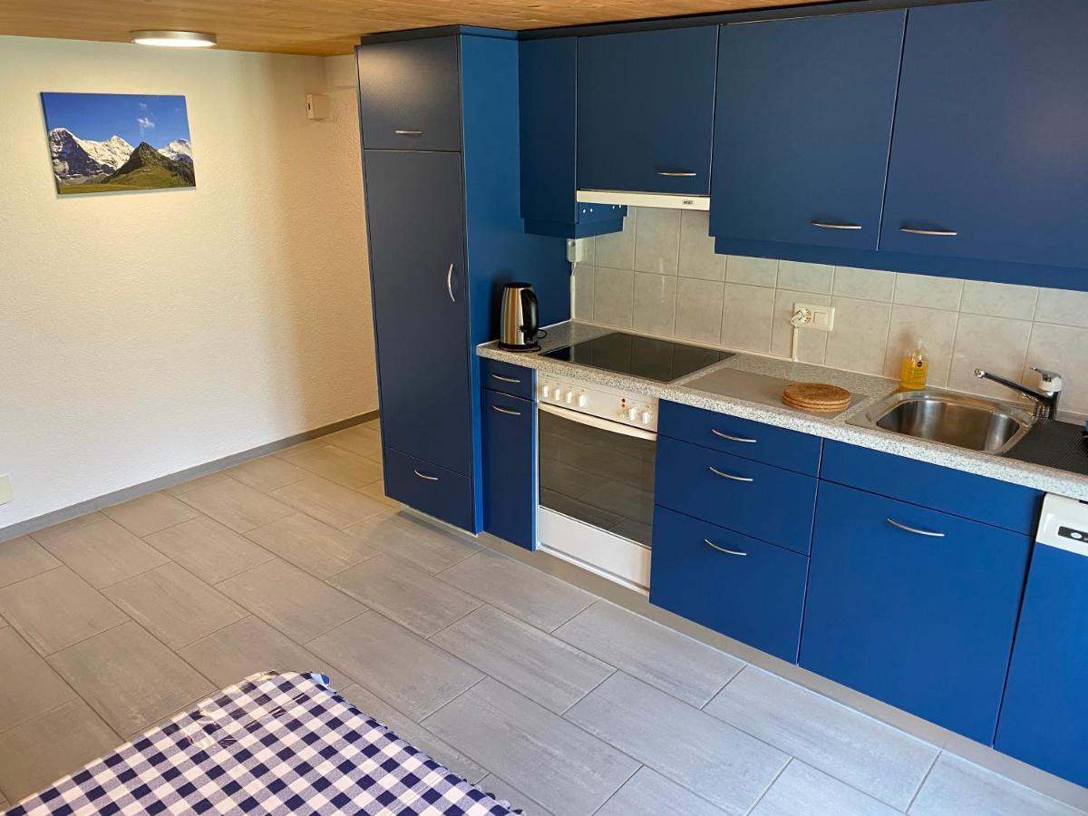 Chalet Herrschaft Grindelwald Ngoại thất bức ảnh