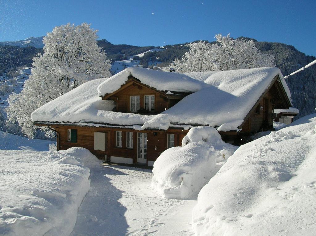Chalet Herrschaft Grindelwald Ngoại thất bức ảnh
